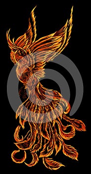 Phoenix Fire bird illustration and character design.Hand drawn Phoenix tattoo photo