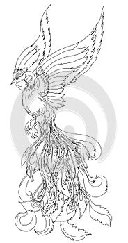 Phoenix Fire bird illustration and character design.Hand drawn Phoenix tattoo photo