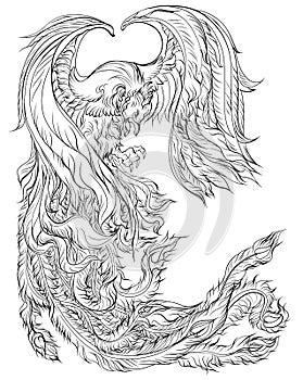Phoenix Fire bird illustration and character design. photo