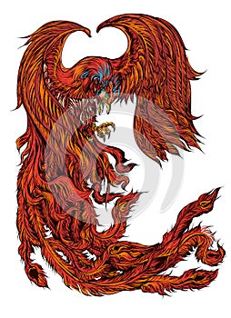 Phoenix Fire bird illustration and character design. photo