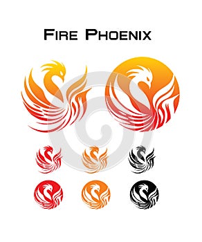 Phoenix from the flame Logo and Emblem.