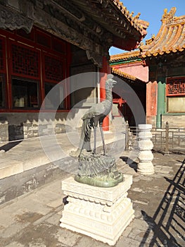 The phoenix in the Forbidden City photo