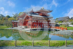 The Phoenix Hall of Byodo-in Temple in Kyoto, Japan with full bloom cherry blossom in spring