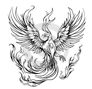 Phoenix hand drawn sketch Mythical birds.Vector illustration