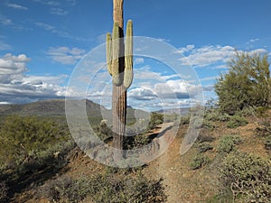 Phoenix Hike