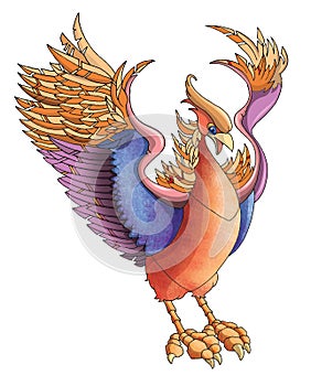 Phoenix Illustration
