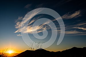 Phoenix Like Cloud Over Ocatillo At Sunset photo