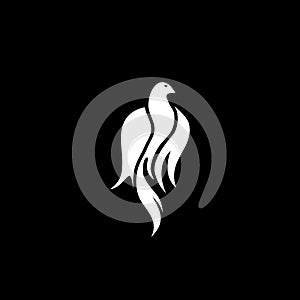 Phoenix logo concept icon isolated on dark background