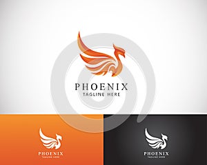 phoenix logo creative color modern fire bird angry sign symbol animal design