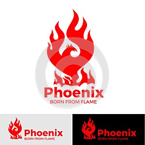 Phoenix logo creative logo of mythological bird Fenix, a unique bird photo