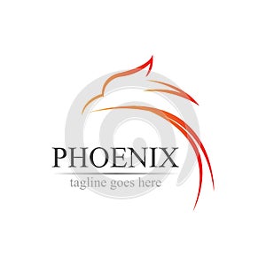Phoenix logo design vector illustration