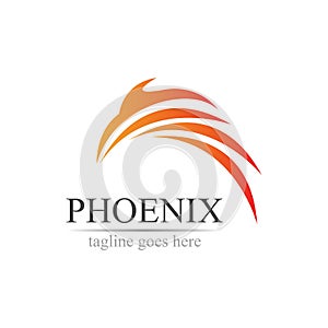 Phoenix logo design vector illustration