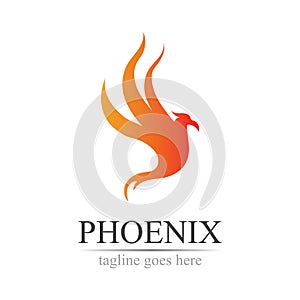 Phoenix logo design vector illustration