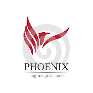 Phoenix logo design vector illustration