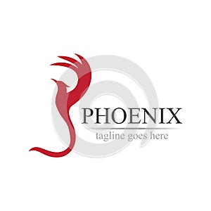 Phoenix logo design vector illustration