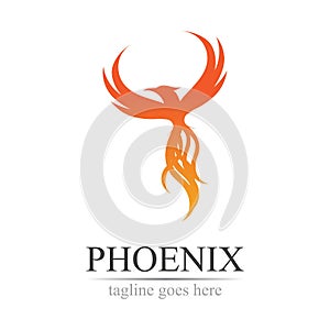 Phoenix logo design vector illustration