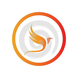 Phoenix logo design vector illustration