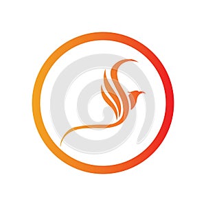 Phoenix logo design vector illustration