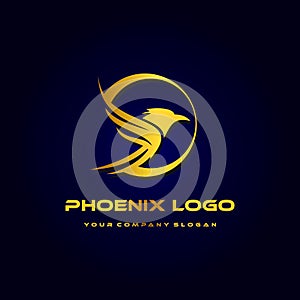 phoenix logo template, luxury design vector, icon