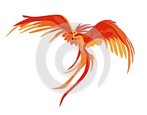 Phoenix. The magic phoenix. Harry Potter. Professor Dumbledore`s Bird. Vector illustration isolated on a white background. Fiery