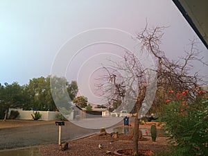 Phoenix Neighborhood, Monsoon Season in Arizona