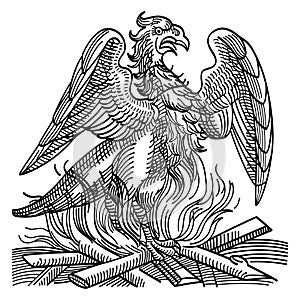 A phoenix obtains new life by rising from the ashes of its predecessor