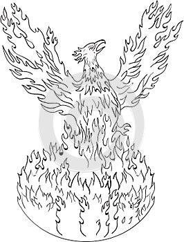 Phoenix Rising Fiery Flames Black and White Drawing