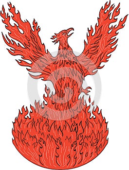 Phoenix Rising Fiery Flames Drawing