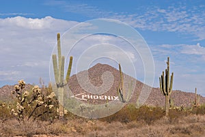 Phoenix Sign photo