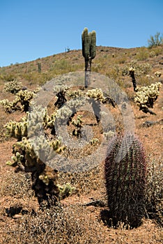 Phoenix Sonoran Desert Preserve