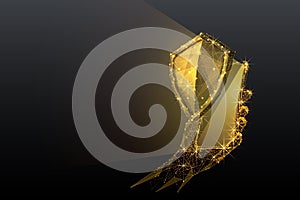 Shield and phone in hand