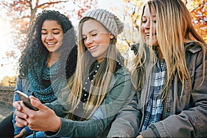 Phone, social media or girl friends in park with smile together for holiday vacation bonding outdoors. Teenager, gossip