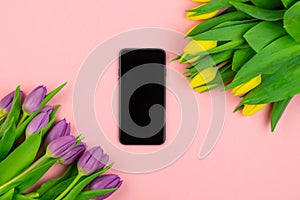 Phone and tulips on pink background