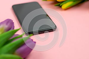 Phone and tulips on pink background