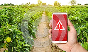 A phone and a warning sign on the background of pepper plantations. Farming and agriculture. Harmful pesticides. Environmental