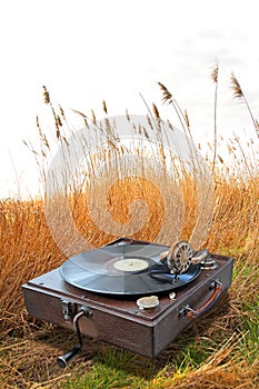 Phonograph in country corn field