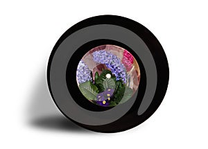 Phonograph record with a hyacinths