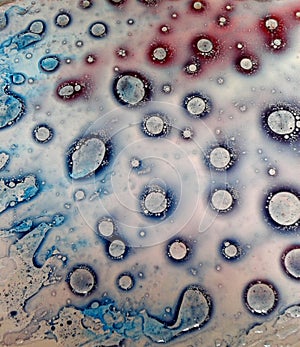Colored liquid water and oil drops photo