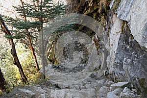 Phortse Tenga Trail - Nepal