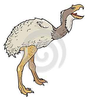 phorusrhacos bird dinosaur ancient vector illustration transparent background
