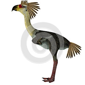 Phorusrhacos Bird Side Profile