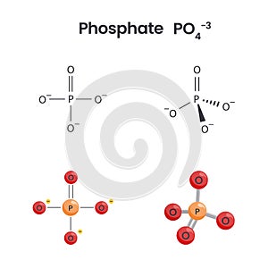 Phosphate anion chemical structure science vector graphics