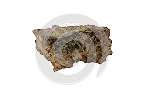 Phosphate mineral rock isolated on white background.