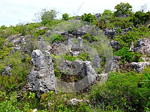 Phosphate rocks in Nauru 3rd smallest country in the world, South Pacific