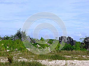 Phosphate rocks in Nauru 3rd smallest country in the world, South Pacific