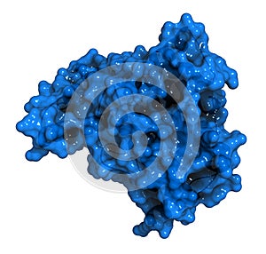 Phosphodiesterase 5 PDE5 enzyme. Inhibition of this enzyme is the mechanism of action of sildenafil, tadalafil and vardenafil,.