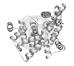 Phosphodiesterase 5 PDE5 enzyme. Inhibition of this enzyme is the mechanism of action of sildenafil, tadalafil and vardenafil,. photo