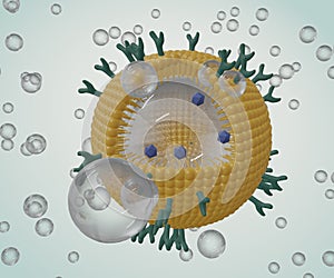 Phospholipid coated nanobubble with microbubbles and nanobubbles photo