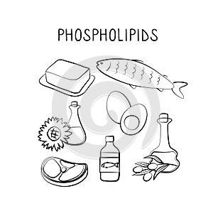 Phospholipids-containing food. Groups of healthy products containing vitamins and minerals. Set of fruits, vegetables