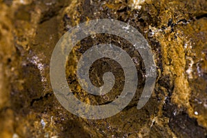 Phosphorite stone in a closeup